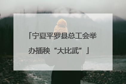 宁夏平罗县总工会举办插秧“大比武”