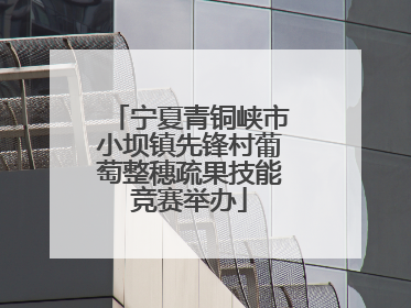 宁夏青铜峡市小坝镇先锋村葡萄整穗疏果技能竞赛举办