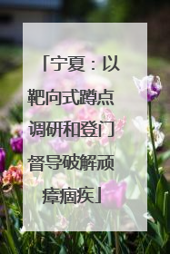 宁夏：以靶向式蹲点调研和登门督导破解顽瘴痼疾