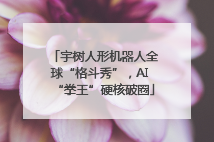 宇树人形机器人全球“格斗秀”，AI“拳王”硬核破圈