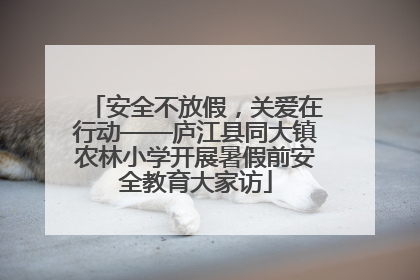 安全不放假，关爱在行动——庐江县同大镇农林小学开展暑假前安全教育大家访