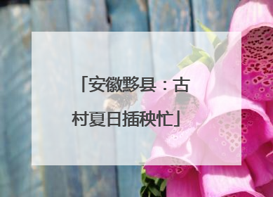 安徽黟县：古村夏日插秧忙