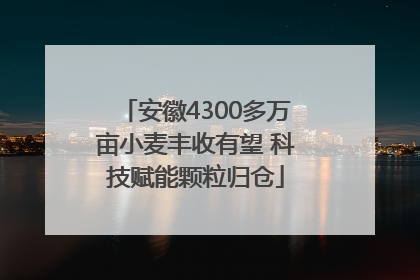 安徽4300多万亩小麦丰收有望 科技赋能颗粒归仓