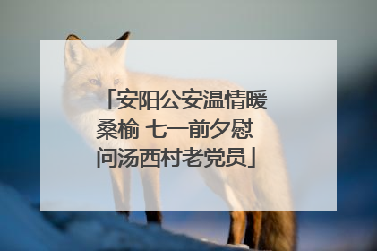 安阳公安温情暖桑榆 七一前夕慰问汤西村老党员