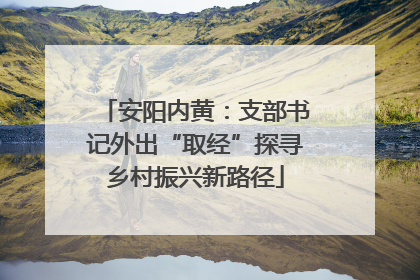 安阳内黄：支部书记外出“取经”探寻乡村振兴新路径