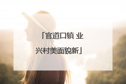 官道口镇 业兴村美面貌新