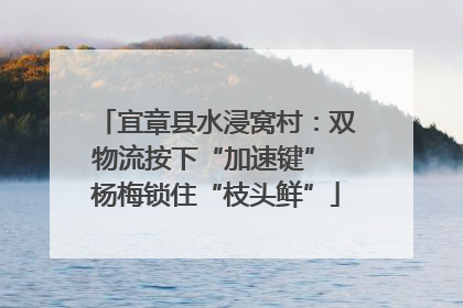 宜章县水浸窝村：双物流按下“加速键” 杨梅锁住“枝头鲜”