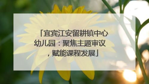 宜宾江安留耕镇中心幼儿园：聚焦主题审议，赋能课程发展