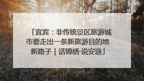 宜宾：非传统景区旅游城市要走出一条新旅游目的地新路子｜话锦绣·说安逸