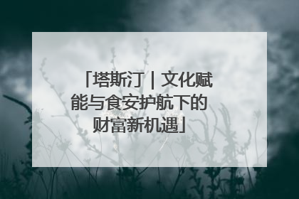 塔斯汀｜文化赋能与食安护航下的财富新机遇