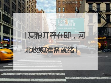夏粮开秤在即，河北收购准备就绪