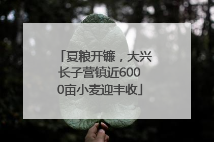 夏粮开镰，大兴长子营镇近6000亩小麦迎丰收
