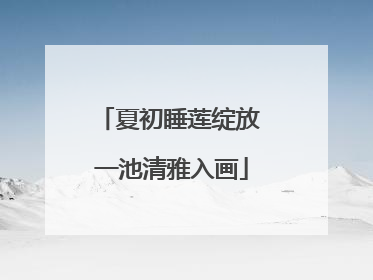 夏初睡莲绽放 一池清雅入画