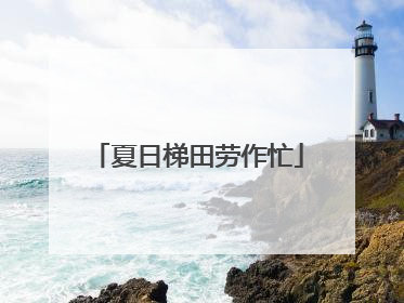 夏日梯田劳作忙