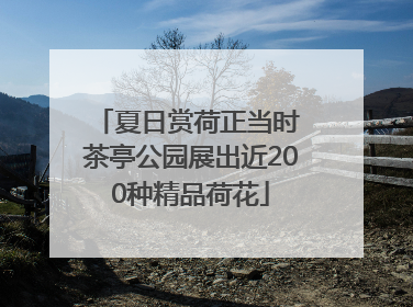 夏日赏荷正当时 茶亭公园展出近200种精品荷花