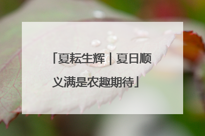夏耘生辉｜夏日顺义满是农趣期待