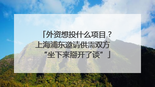 外资想投什么项目？上海浦东邀请供需双方“坐下来掰开了谈”