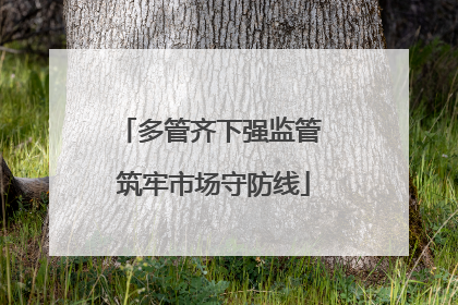 多管齐下强监管 筑牢市场守防线