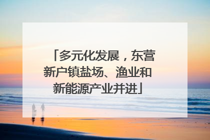 多元化发展，东营新户镇盐场、渔业和新能源产业并进