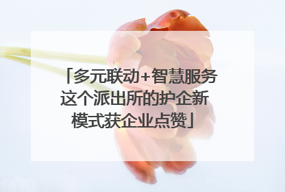 多元联动+智慧服务 这个派出所的护企新模式获企业点赞