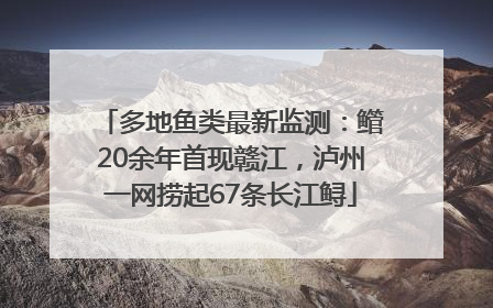 多地鱼类最新监测：鳤20余年首现赣江，泸州一网捞起67条长江鲟