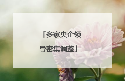多家央企领导密集调整