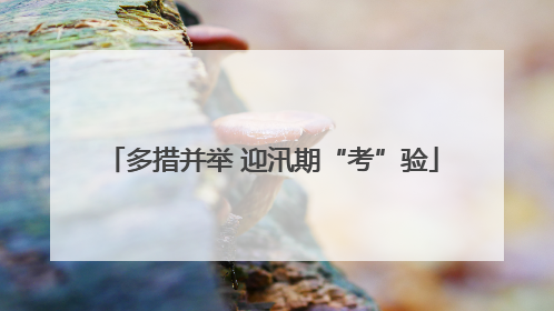 多措并举 迎汛期“考”验