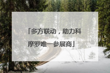 多方联动，助力科摩罗唯一参展商