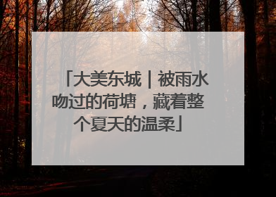 大美东城｜被雨水吻过的荷塘，藏着整个夏天的温柔