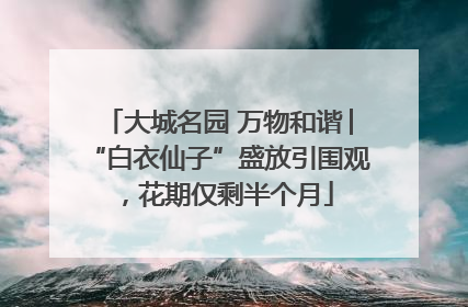 大城名园 万物和谐│“白衣仙子”盛放引围观，花期仅剩半个月