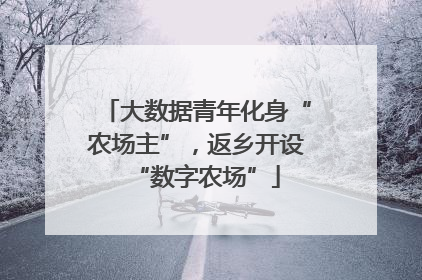 大数据青年化身“农场主”,返乡开设“数字农场”