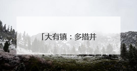 大有镇：多措并举推动“两清两改两治理”见成效