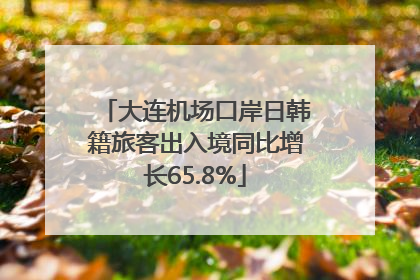 大连机场口岸日韩籍旅客出入境同比增长65.8%