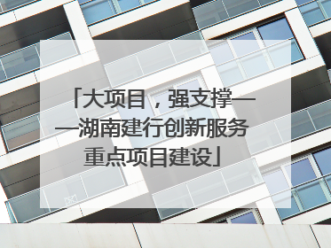 大项目，强支撑——湖南建行创新服务重点项目建设