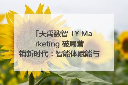 天禹数智 TY Marketing 破局营销新时代：智能体赋能与人才培育双轮驱动