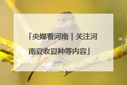 央媒看河南｜关注河南夏收夏种等内容