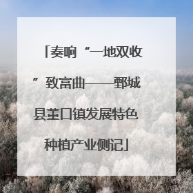 奏响“一地双收”致富曲——鄄城县董口镇发展特色种植产业侧记