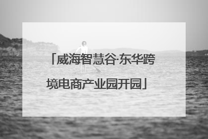 威海智慧谷·东华跨境电商产业园开园