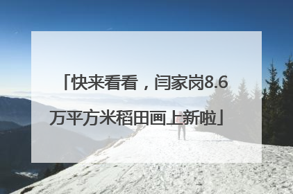 快来看看，闫家岗8.6万平方米稻田画上新啦