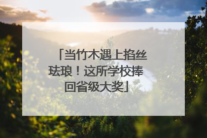 当竹木遇上掐丝珐琅！这所学校捧回省级大奖