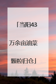 当阳43万余亩油菜颗粒归仓
