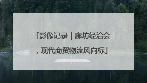 影像记录｜廊坊经洽会，现代商贸物流风向标