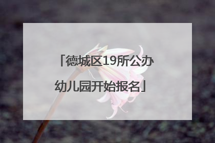 德城区19所公办幼儿园开始报名