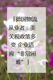 德国物流从业者：美关税政策多变 企业适应“非常困难”