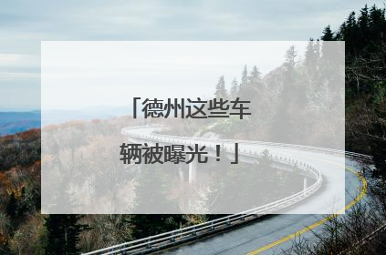 德州这些车辆被曝光！