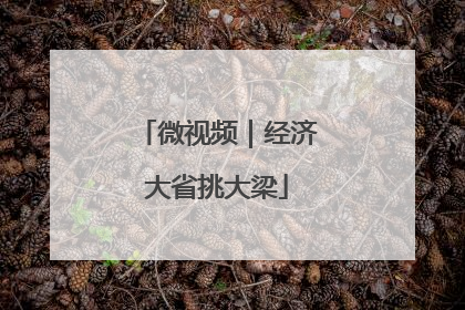 微视频｜经济大省挑大梁