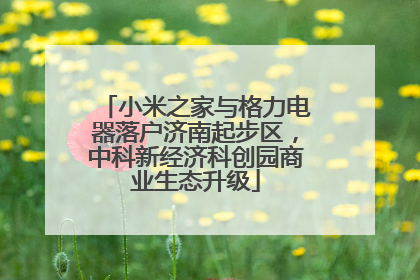 小米之家与格力电器落户济南起步区，中科新经济科创园商业生态升级