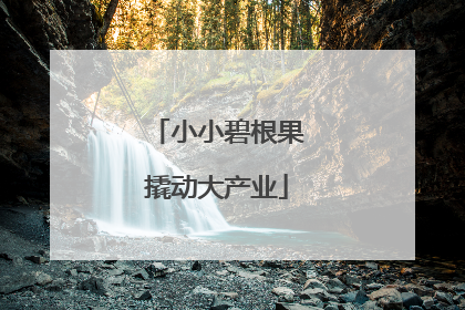 小小碧根果撬动大产业