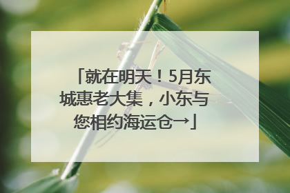 就在明天！5月东城惠老大集，小东与您相约海运仓→
