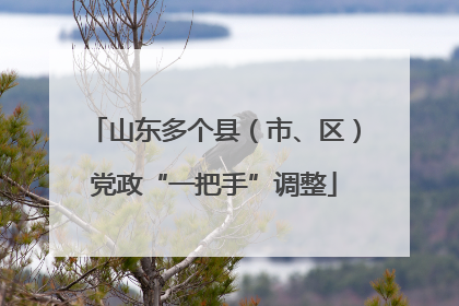 山东多个县（市、区）党政“一把手”调整